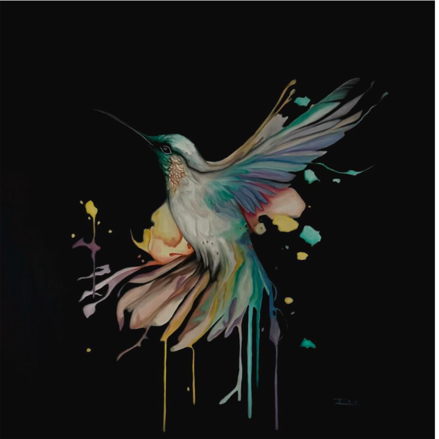 Hummingbird Dream