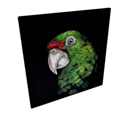 Cotorra 2 Canva