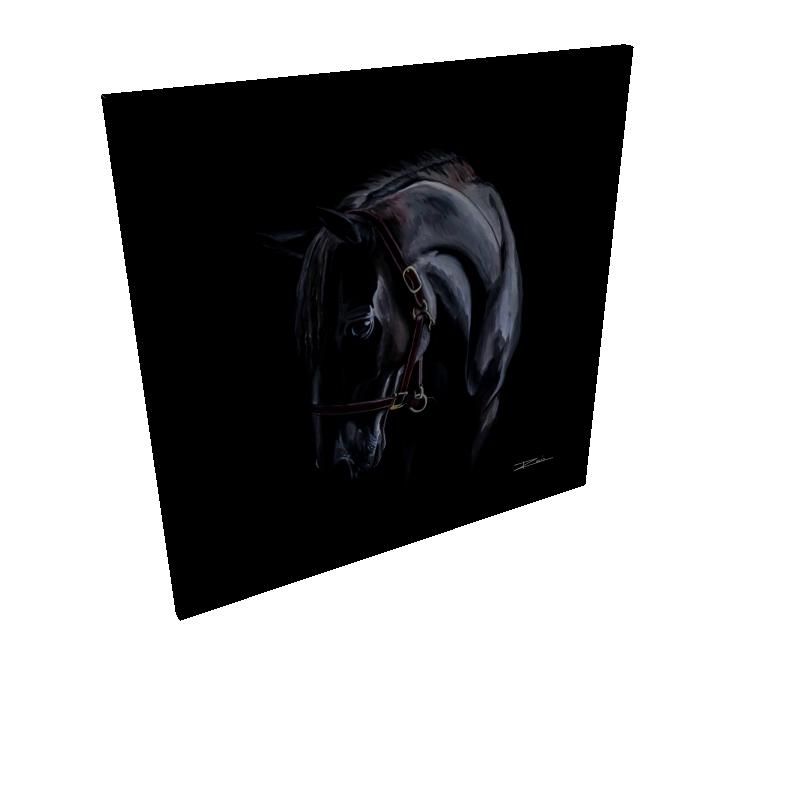 Mistico de La Ventana Print Canva