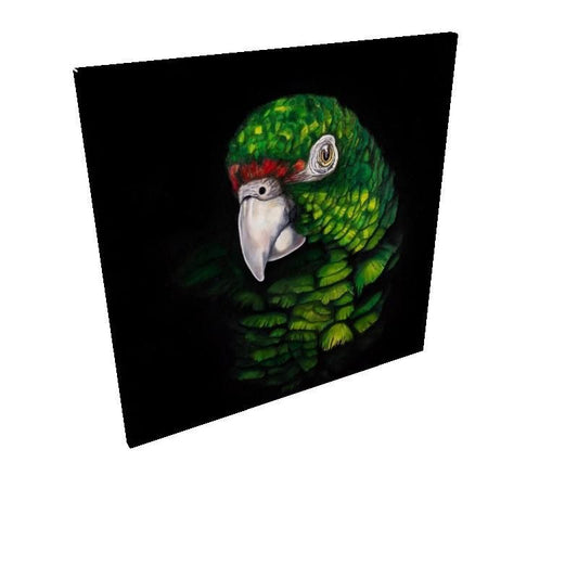 Cotorra 1 Canva