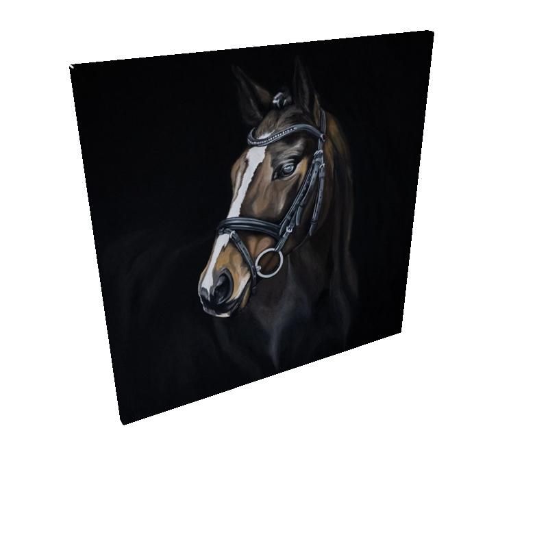Caballo 2 canva